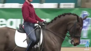 Using Bend to Improve the Canter