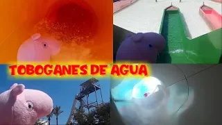 Peppa vacaciones en el parque acuático de toboganes de agua y otros vídeos de Peppa Pig en español