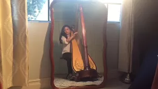 "Raabta" from Agent Vinod | Bollywood Harp Cover (Jessica Brizuela)