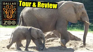Dallas Zoo Tour & Review with The Legend