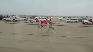 الشوط 1…(كحال)لـ مهنا بن حمد بن حميد الجنيبي 2:09