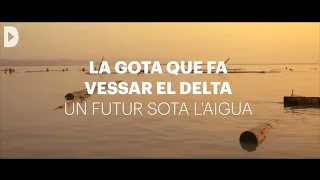 La gota que fa vessar el Delta