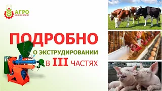 Что такое экструдированные корма? Как делаются? Как влияют на животных?