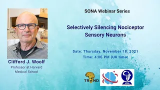 Selectively Silencing Nociceptor Sensory Neurons│Prof. Clifford J. Woolf