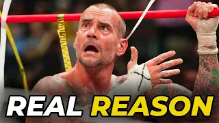 Real Reason AEW Released CM Punk