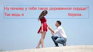 Еще один рассказ о красавице Белой Березе 💖 БЕЛАЯ БЕРЕЗА (Cover)