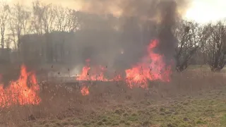 За три дні 30 пожеж. На Бродівщині палає суха трава