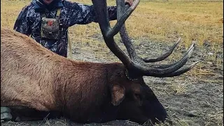 Giant bull elk, 3rd largest taken in 2022. Saskatchewan, Canada