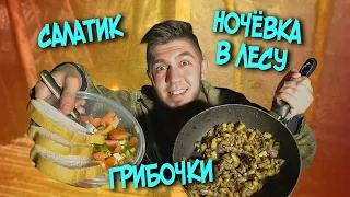 МОЯ ПЕРВАЯ НОЧЬ В ЛЕСУ. ОДИНОЧНЫЙ ПОХОД. КАРТОШКА С ШАМПИНЬОНАМИ НА КОСТРЕ.