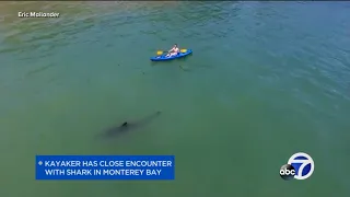 Kayaker has close encounter with Shark in Monterey Bay