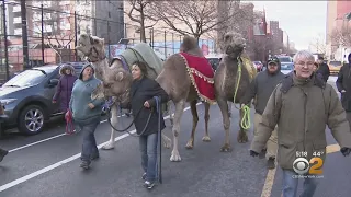 Thousands Of New Yorkers Celebrate Three Kings Day In East Harlem
