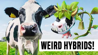 Do Hybrid Farms REALLY Exist? Here's Everything You Need To Know!