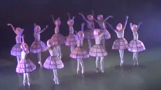 Прекрасный танец "Розы" балет "Маленький принц" - Театр балета «Щелкунчик»