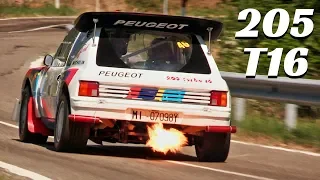 Peugeot 205 T16 Group B (1986) - On-Board Action, HUGE Exhaust Flames! - 2018 Vernasca Silver Flag