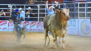 RODEIO de SANTA CRUZ DO RIO PARDO-SP 2023 - (Semi-final e Final)