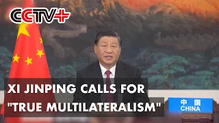 Chinese President Xi Jinping Calls for "True Multilateralism"