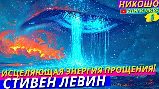 Практика Прощения Исцеляющая Душу Отпуская Обиды и Чувство вины! НИКОШО и Левин