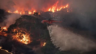 Australia's bushfire (2019-2020)