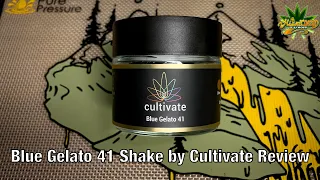 Blue Gelato 41 Review by Cultivate