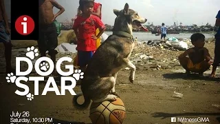 I-Witness: "Dog Star", a documentary by Howie Severino (full episode)