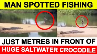 News24 live 🔴 Man spotted fishing just metres in front of huge saltwater crocodile near Cairns