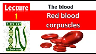 1-Histology of Red blood cells , myeloid tissue and erythropoiesis -Blood and lymphoid system