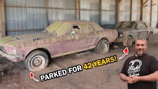 Two Mustangs Parked for 42 Years! Will They Run and Drive?