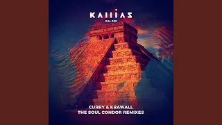 Curry & Krawall - The Soul Condor