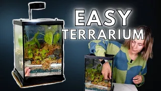 How To Make a Terrarium & Basic Care! | EASY 15 min Terrarium Tutorial