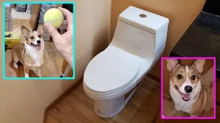 How to Replace Toilet... with my little helper. Замена унитаза