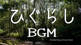 【睡眠用BGM】ひぐらしの鳴き声と川のせせらぎ / 心安らぐ作業用BGM / 勉強用BGM