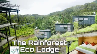 The Rainforest Ecolodge | Deniyaya | Srilanka | Vlog 07