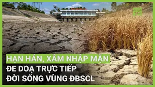 Hạn mặn lịch sử đe doạ ĐBSCL, hàng chục nghìn ha cây trồng thiếu nước: Ứng phó thế nào? | VTC16