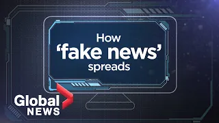 'Fake News' explained: How disinformation spreads