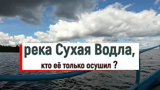 Река Сухая Водла, кто её только осушил?