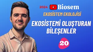 Ekosistemi oluşturan bileşenler | 39 Günde TYT Biyoloji Kampı-20 | 10. Sınıf Biyoloji Kampı-13