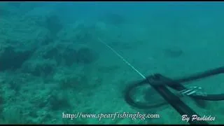 The price of curiosity ! Spearfishing Cyprus by Pavlides