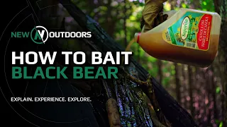 How to Bait a Black Bear