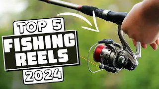 Top 5 Fishing Reels You Must Try!