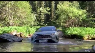 Toyota Rav4 2020 на оффроуде - Рав 4 (OffRoad Fan)