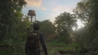 30 Minutes Of Ambient The Last Of Us Music