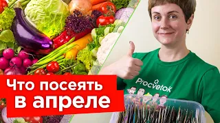 ЧТО ОБЯЗАТЕЛЬНО СТОИТ ПОСЕЯТЬ В АПРЕЛЕ на рассаду и в открытый грунт?