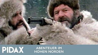 Pidax - Abenteuer im hohen Norden (1973, TV-Serie)