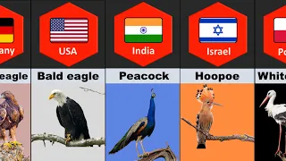 National Birds From Different Countries | All Countries' National Birds