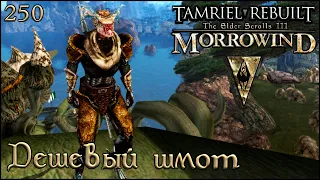 Morrowind Tamriel Rebuilt - Смена имиджа, #188 (250)