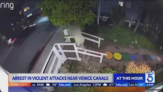 Transient arrested for attacking 2 women along the Venice Canals