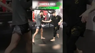 Muay Thai Teeps - Fighting Tricks with Damien Alamos