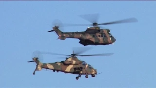 Rooivalk & Oryx Helicopters Flying in Close Formation