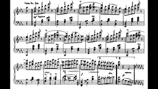 Josef Lhevinne - Strauss-Schulz-Evler: The Blue Danube Waltz (recorded 1 May 1928)