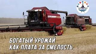 Рекордный урожай как плата за смелость